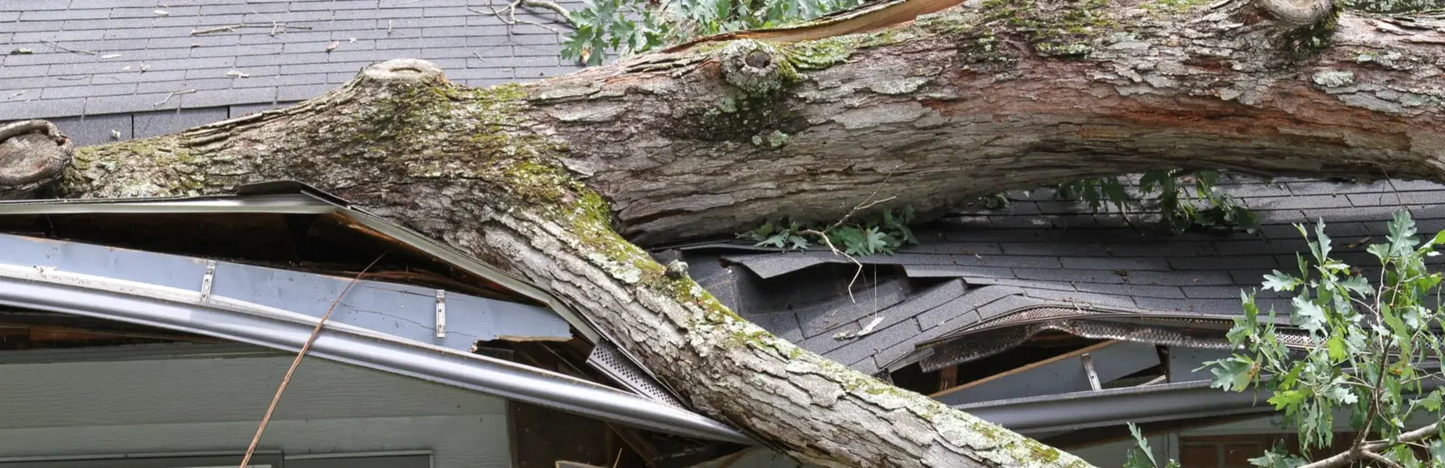 emergency roof repair after storm damage in Prattville AL